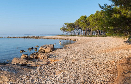 Pridružite se akciji čišćenja plaže Pilatuša u Pakoštanima