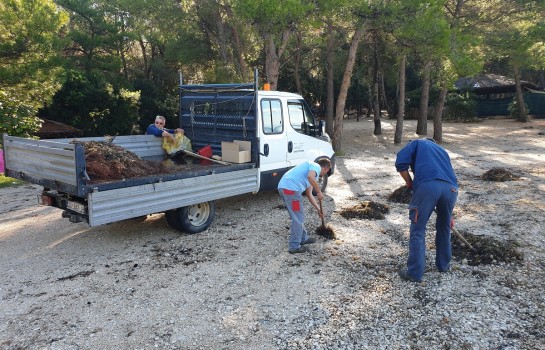 Održana akcija čišćenja plaže Pilatuša u Pakoštanima