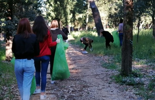 Održana akcija čišćenja uvale Soline u Biogradu na Moru