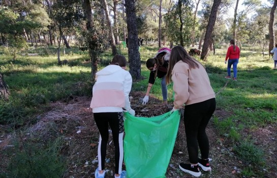 Održana akcija čišćenja uvale Soline u Biogradu na Moru